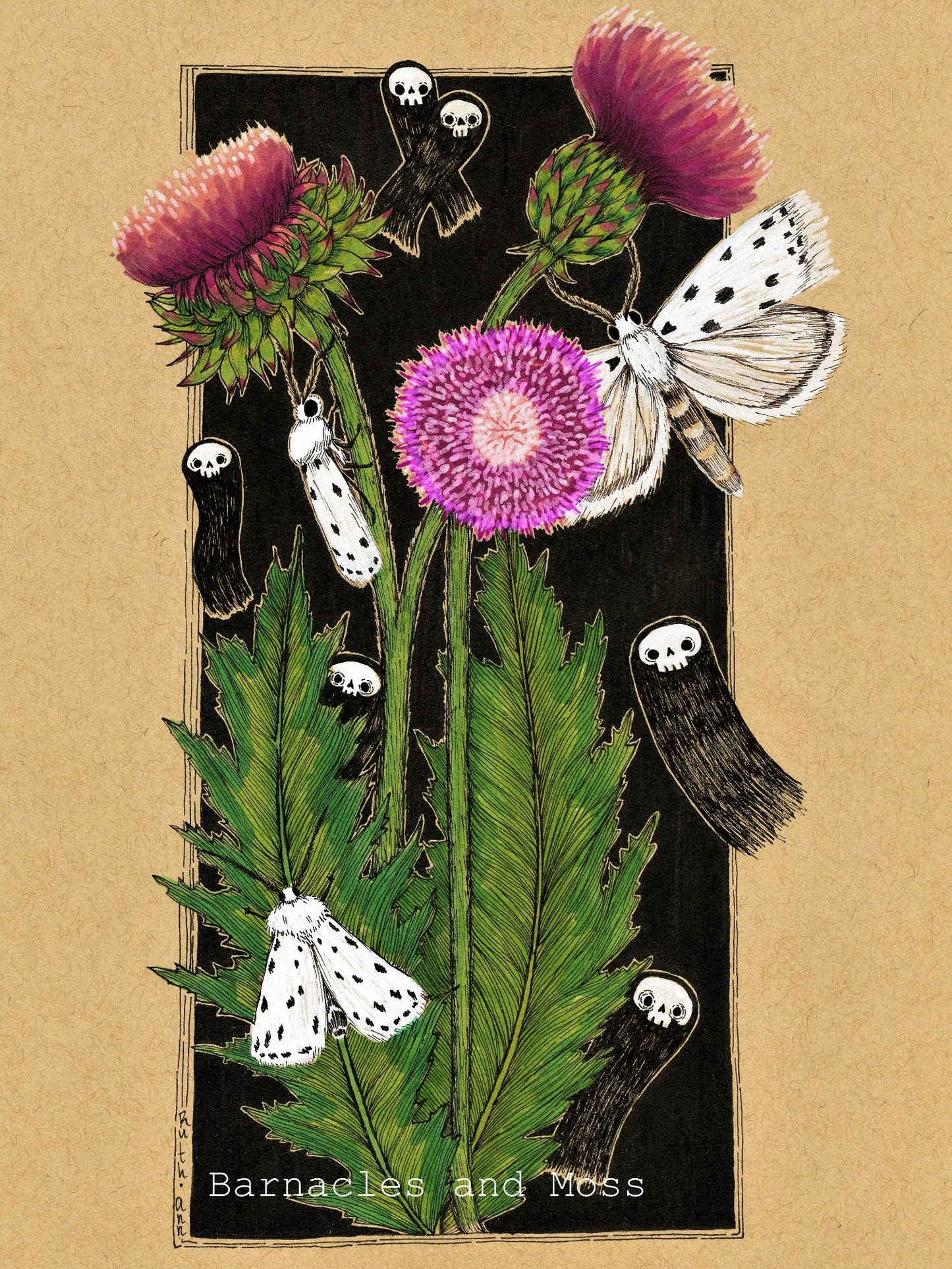 Thistle and Ermine Moths Fine Art Print
