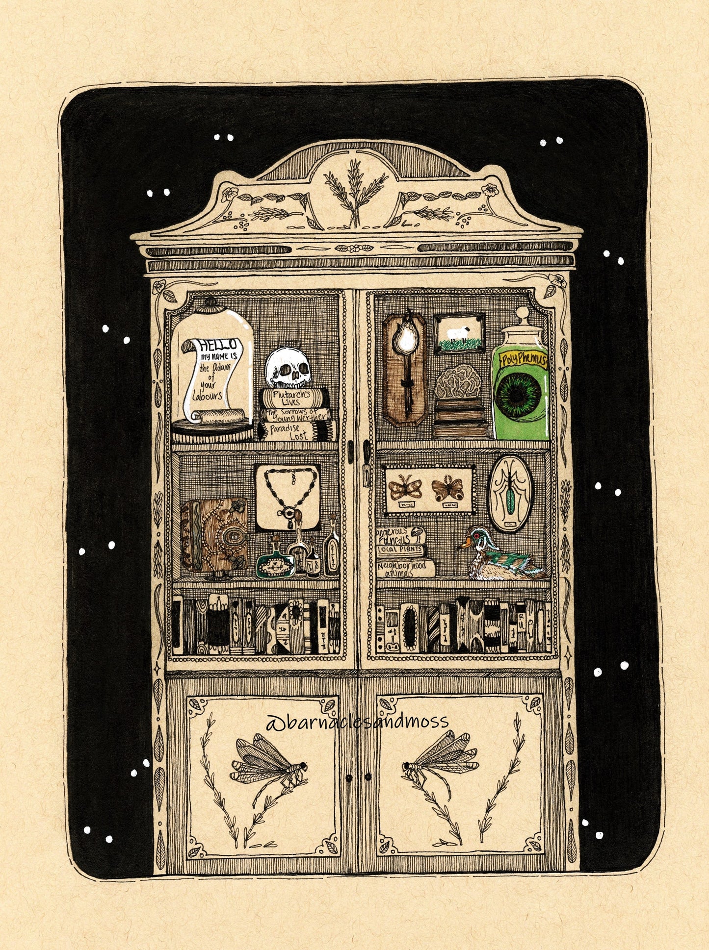 Cabinet of Curiosities Fine Art Print