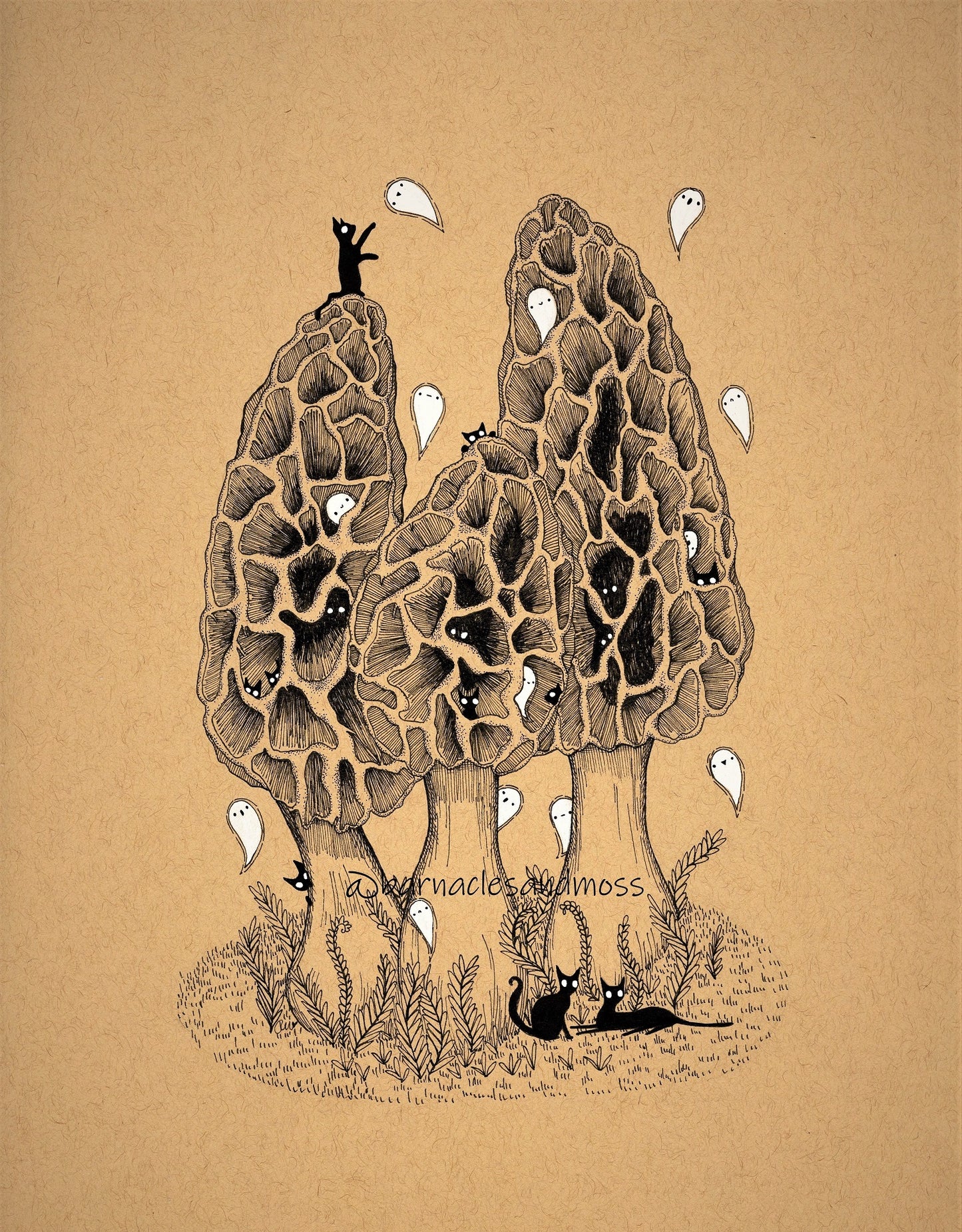 Cats in the Morels Fine Art Print
