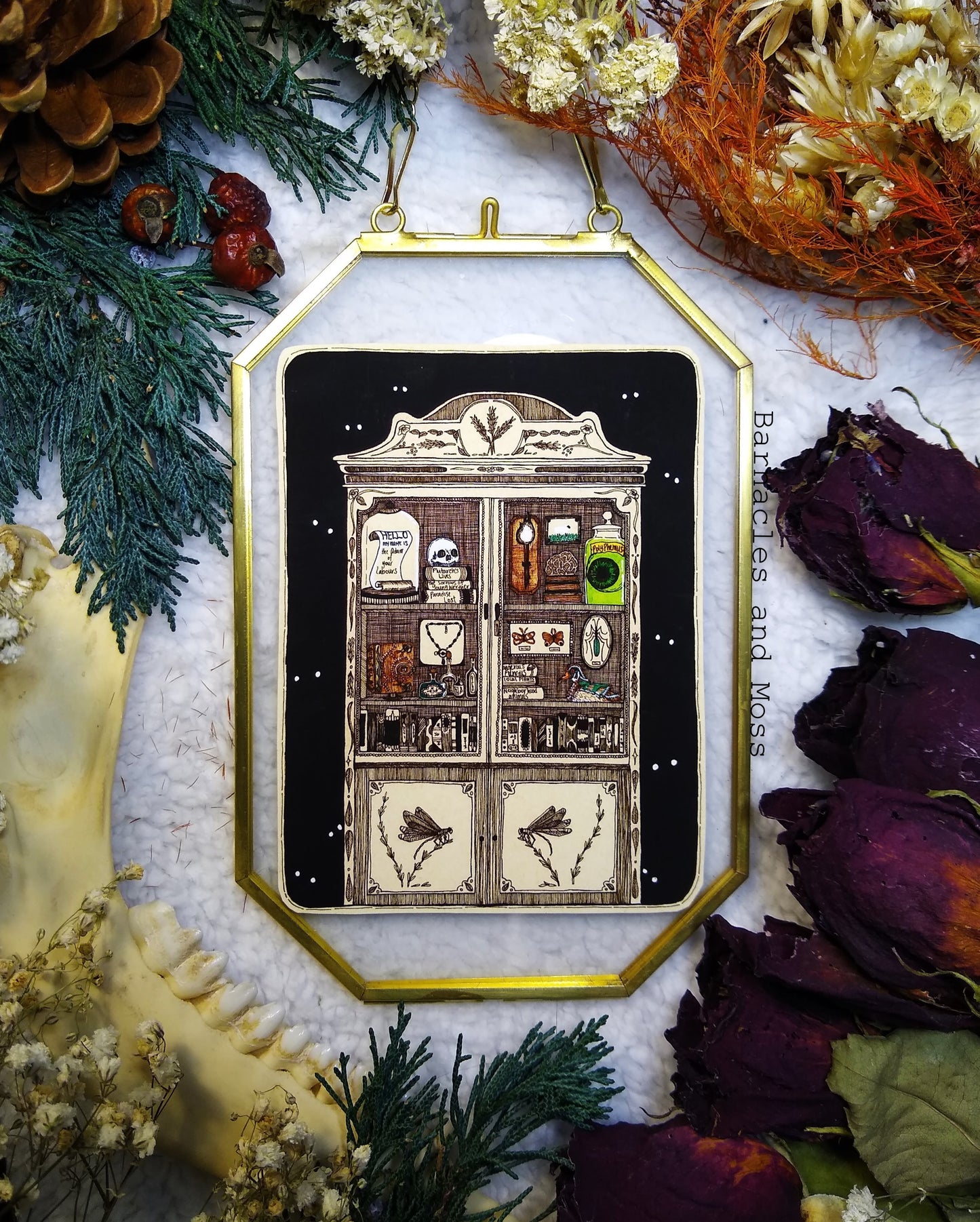 Cabinet of Curiosities Fine Art Print