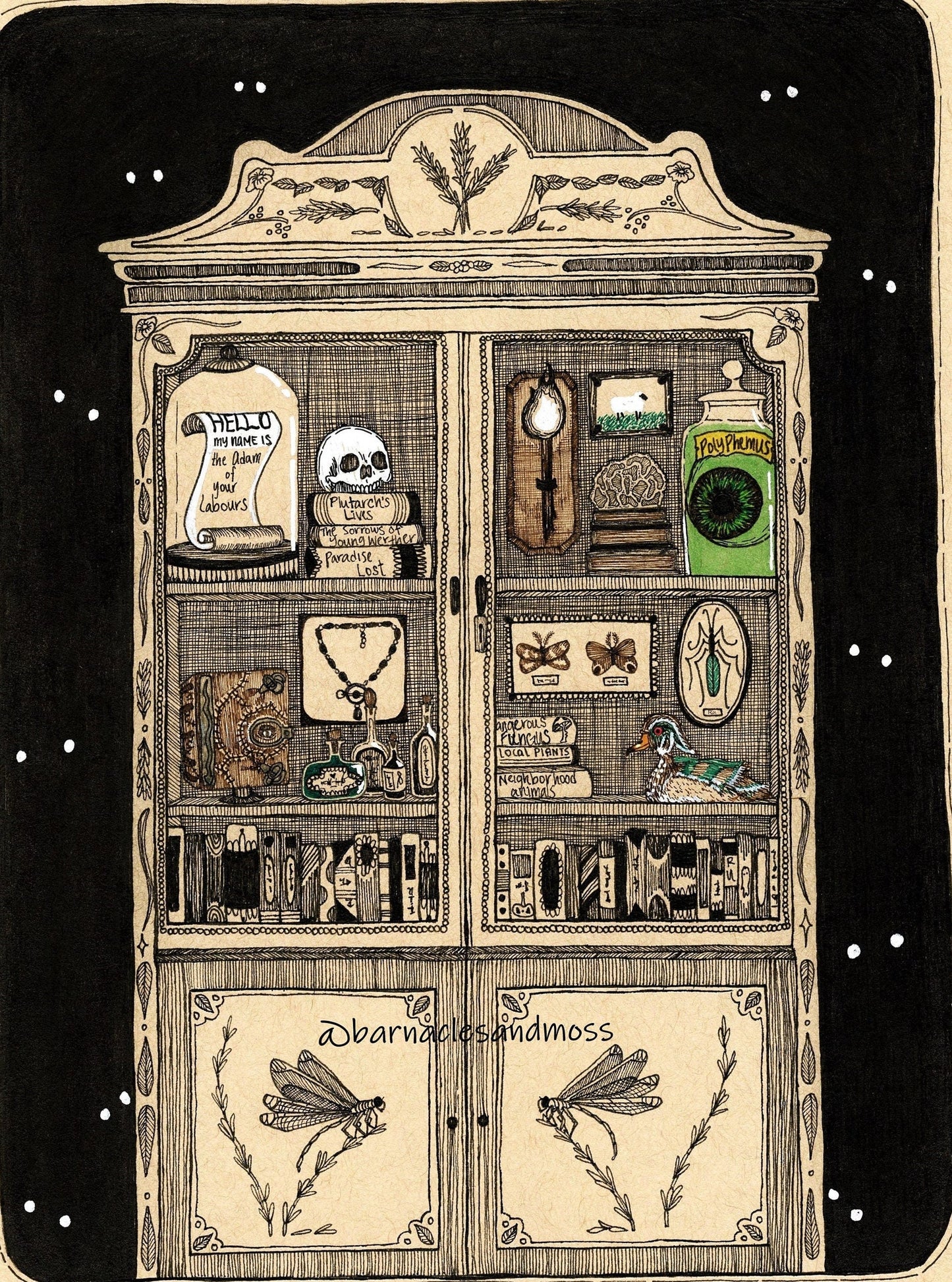 Cabinet of Curiosities Fine Art Print