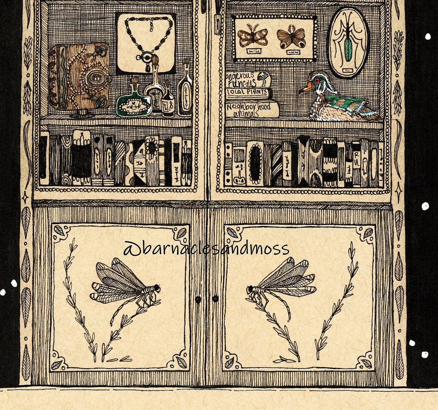 Cabinet of Curiosities Fine Art Print