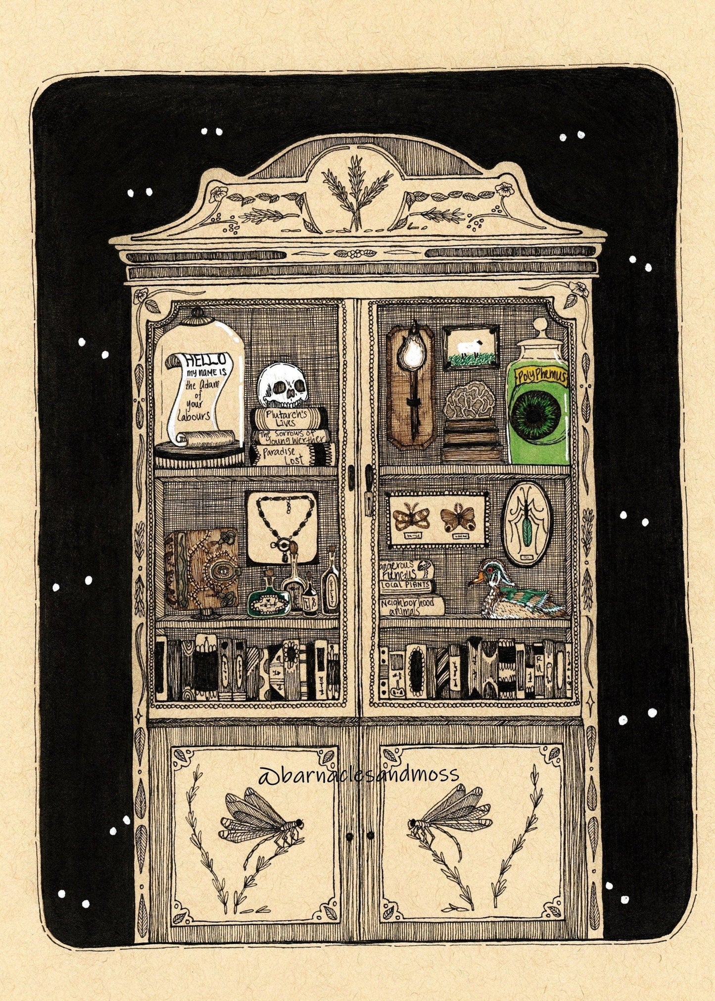 Cabinet of Curiosities Fine Art Print