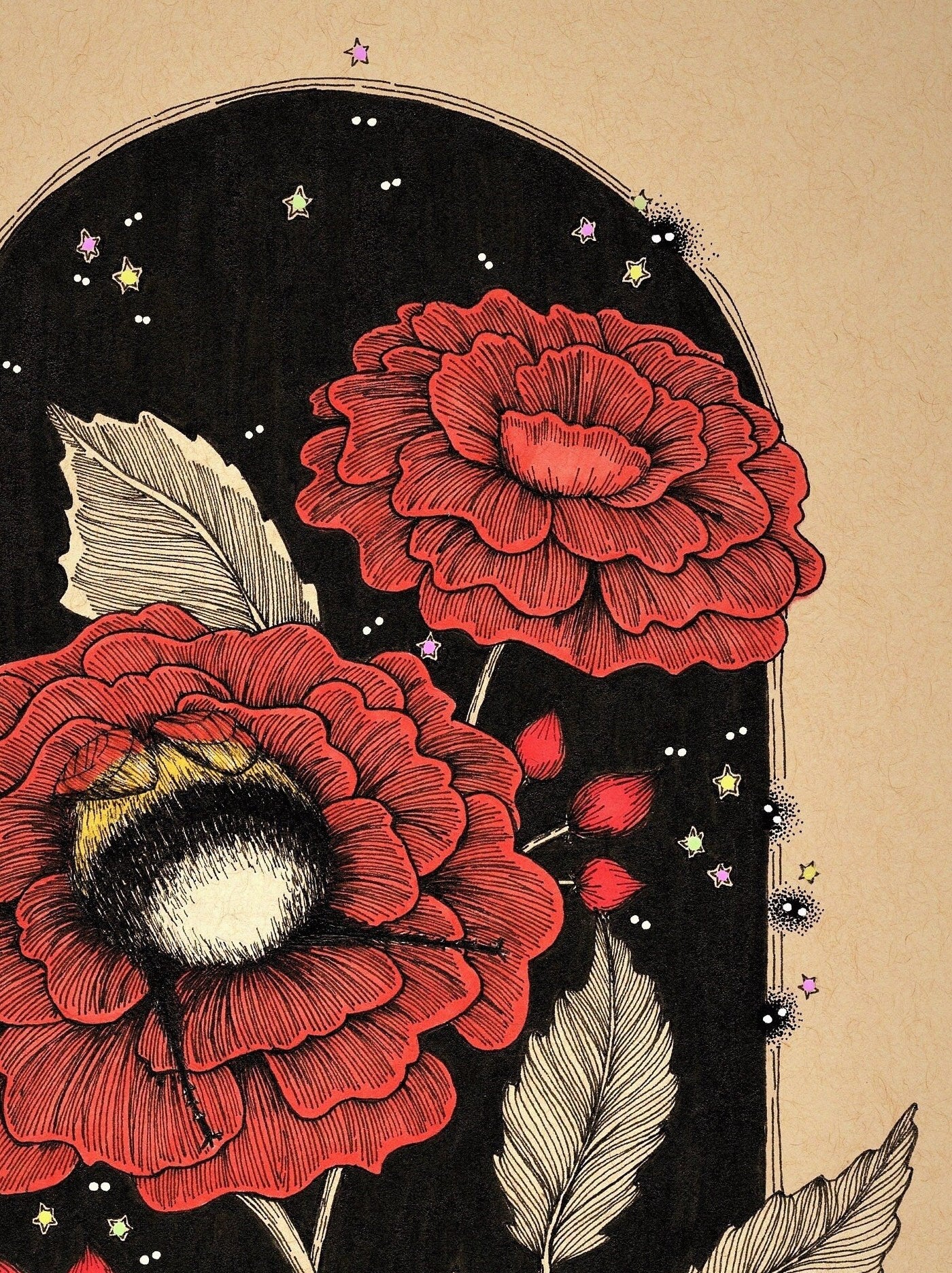 Bumblebee and Peonies Fine Art Print