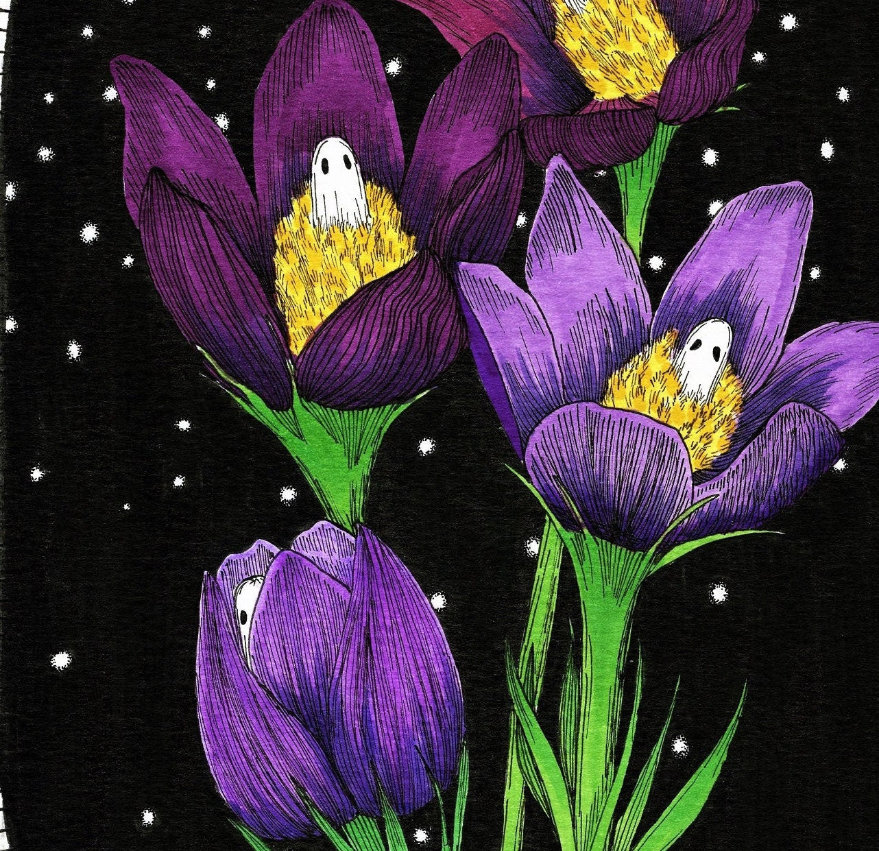 Pasqueflower Fine Art Print