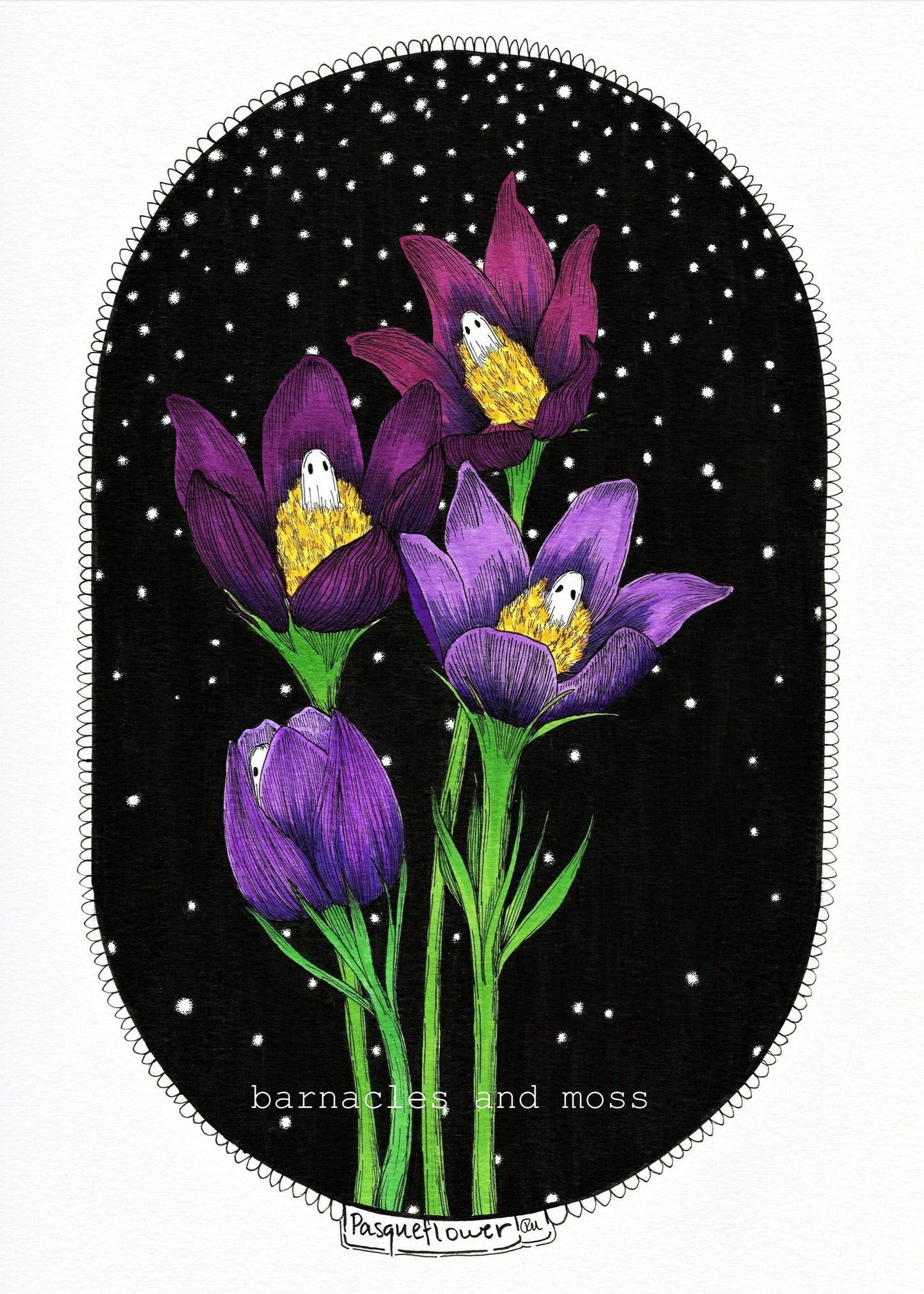 Pasqueflower Fine Art Print