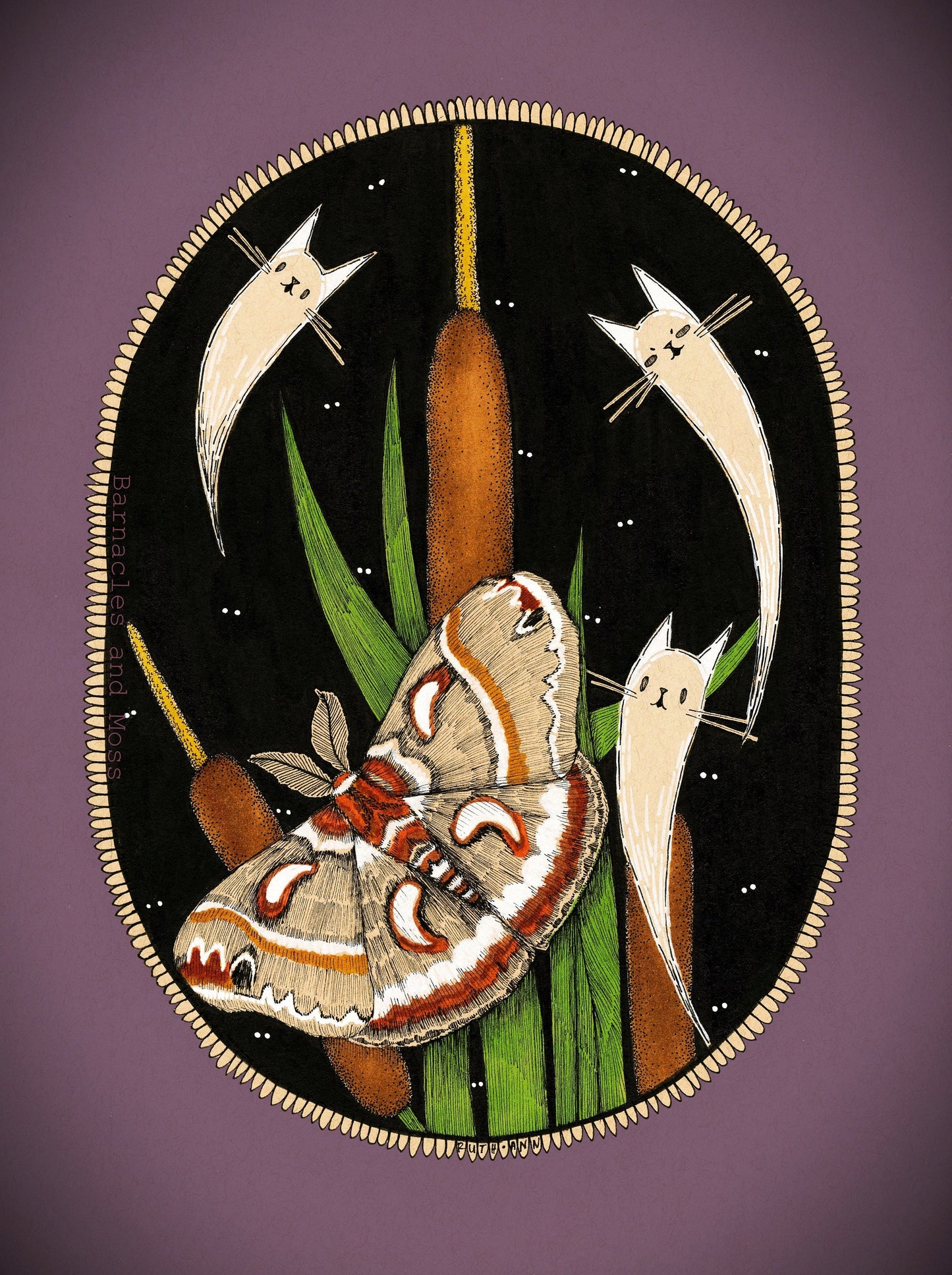 Cecropia Silk Moth Fine Art Print