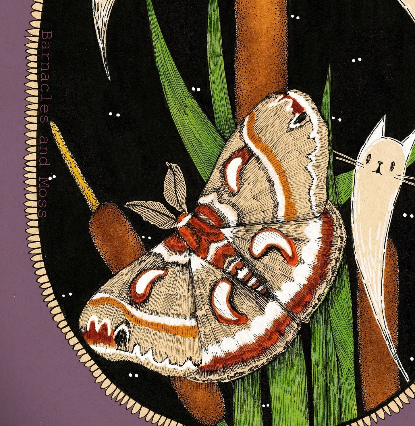 Cecropia Silk Moth Fine Art Print