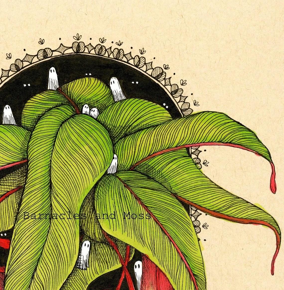 Pitcher Plant Fine Art Print