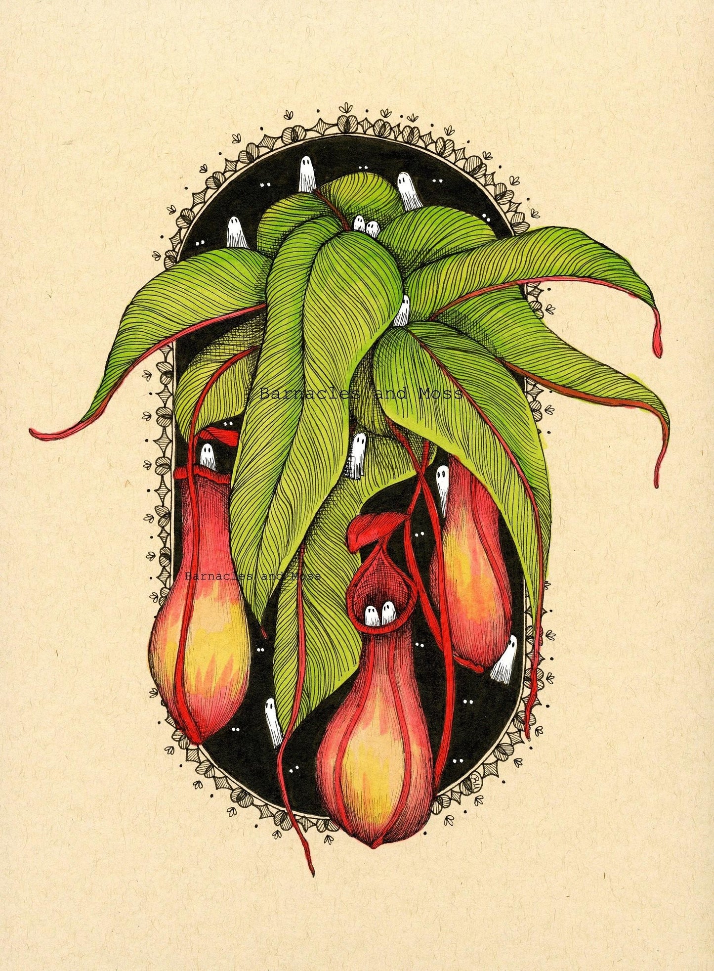 Pitcher Plant Fine Art Print