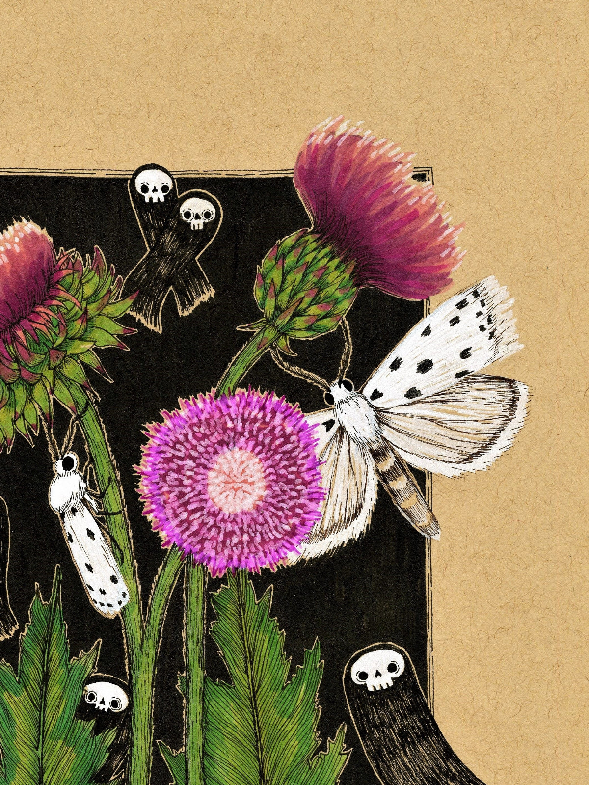 Thistle and Ermine Moths Fine Art Print