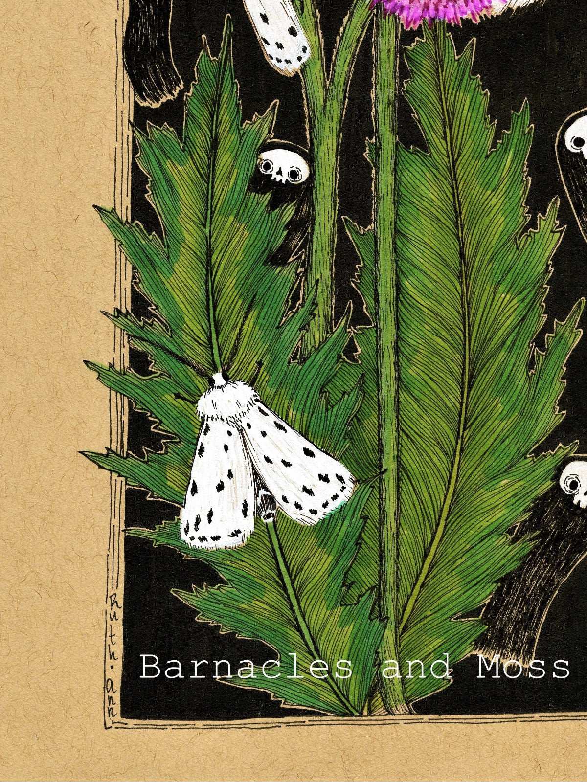 Thistle and Ermine Moths Fine Art Print