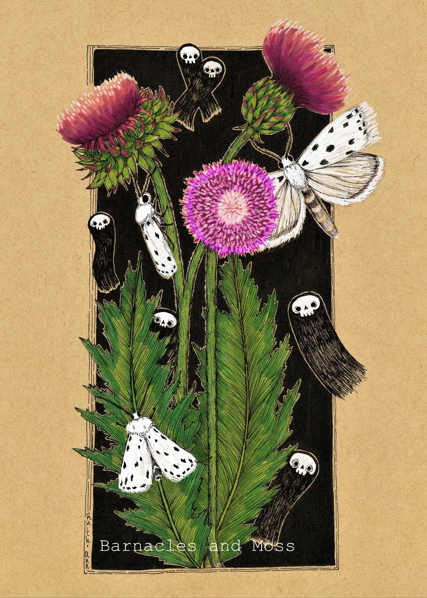 Thistle and Ermine Moths Fine Art Print