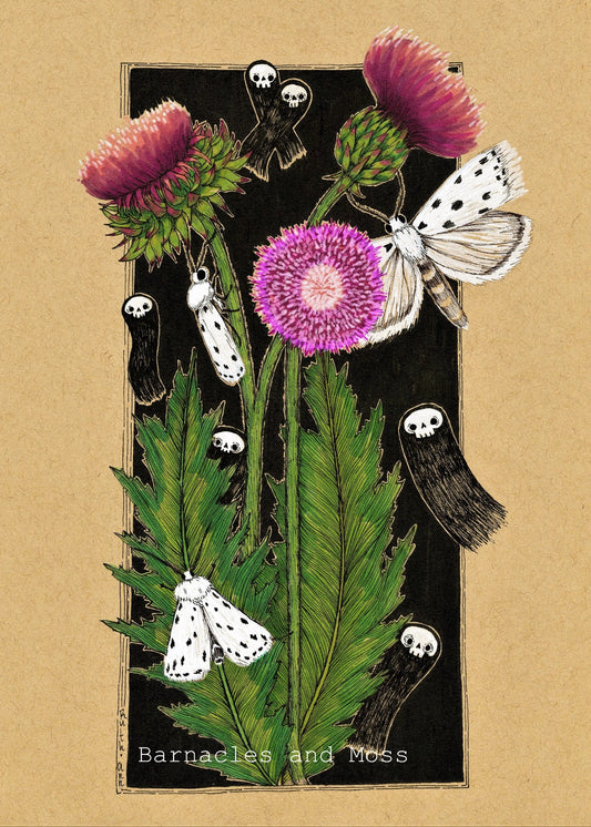 Thistle and Ermine Moths Fine Art Print