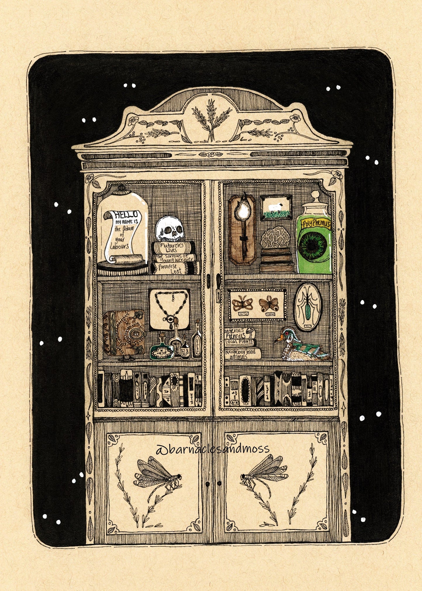 Cabinet of Memories and Curiosities Fine Art Print