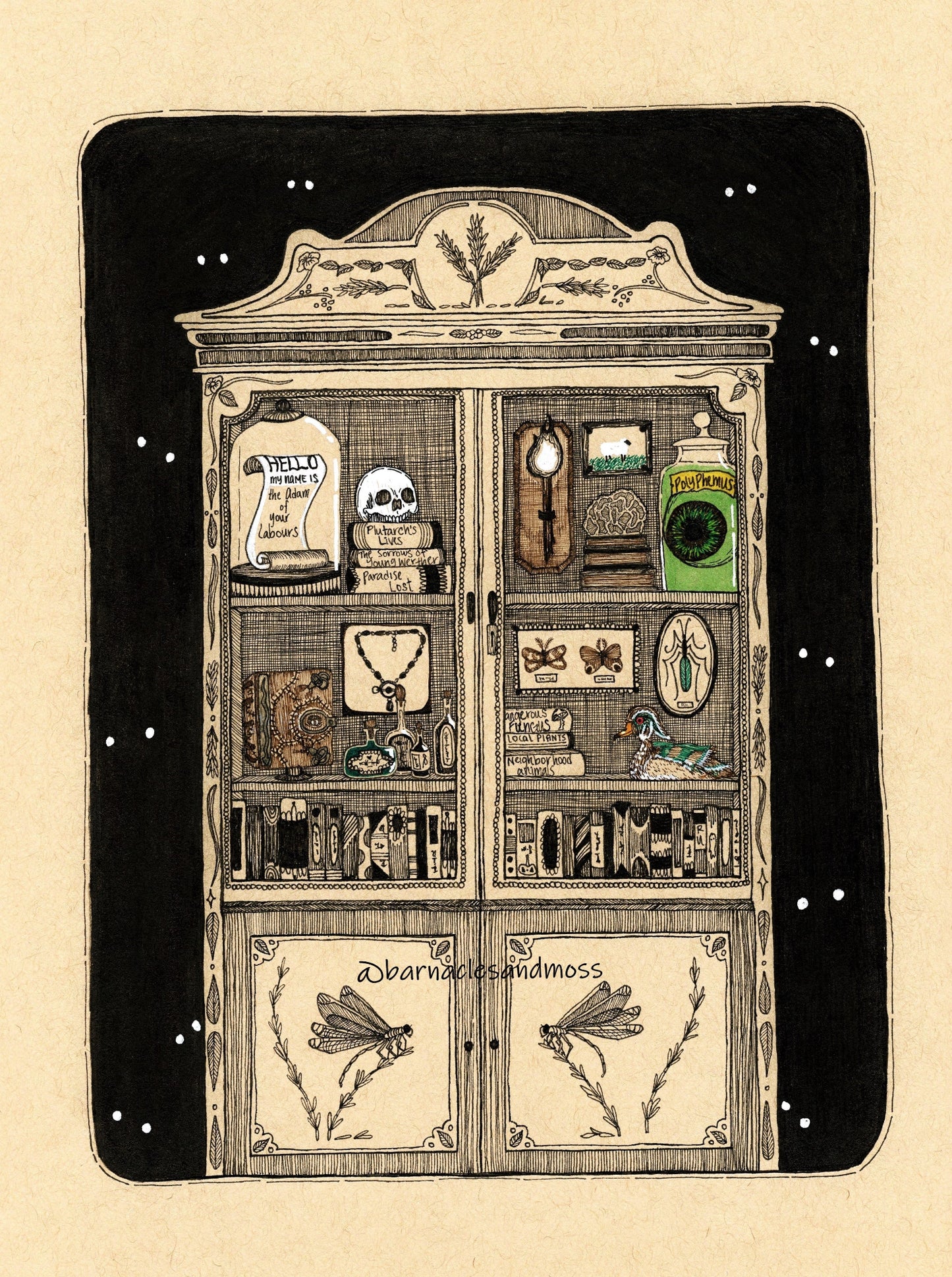 Cabinet of Memories and Curiosities Fine Art Print