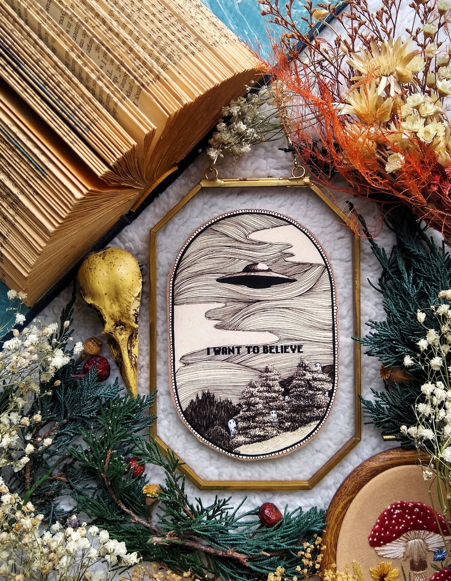 I Want To Believe Fine Art Print