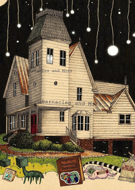 Deetz and Maitland House Fine Art Print