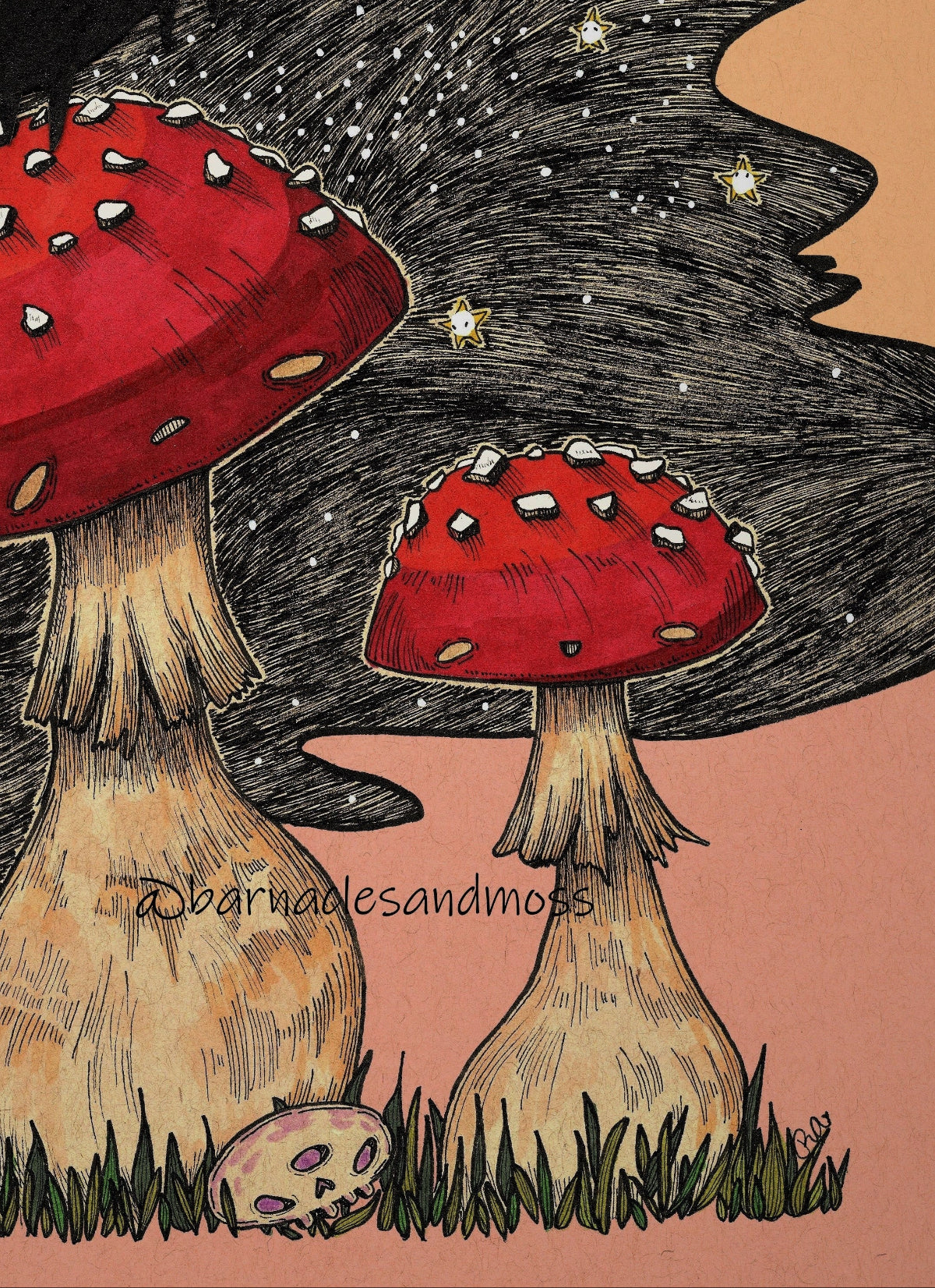 Looking For Bones Fine Art Print