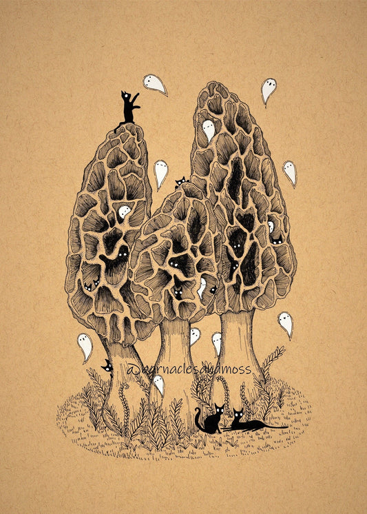 Cats in the Morels Fine Art Print