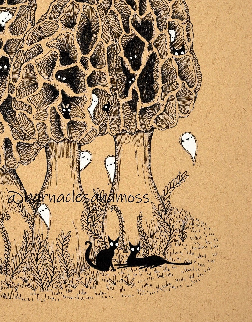 Cats in the Morels Fine Art Print