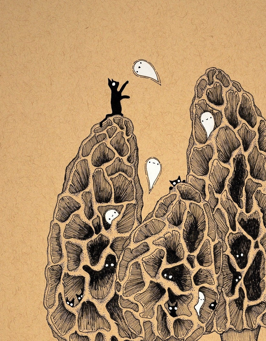Cats in the Morels Fine Art Print