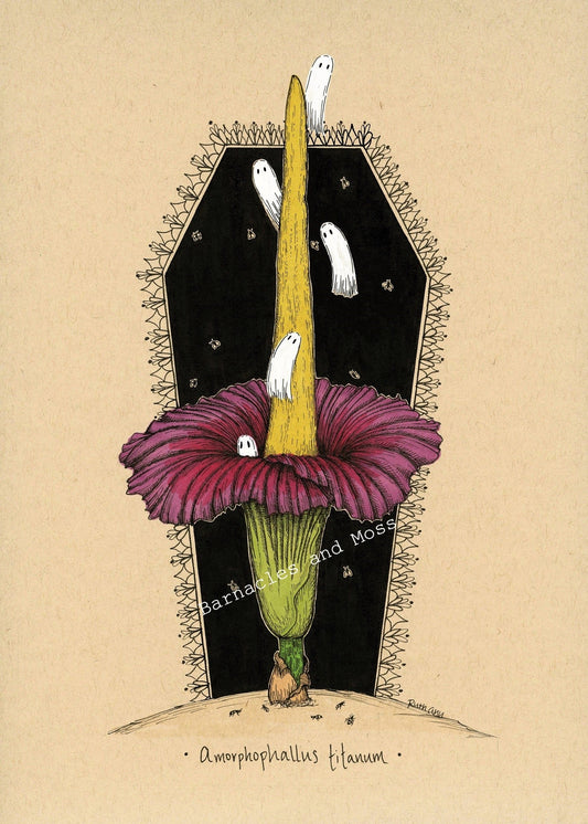 Corpse Flower Fine Art Print