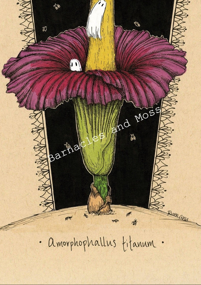 Corpse Flower Fine Art Print