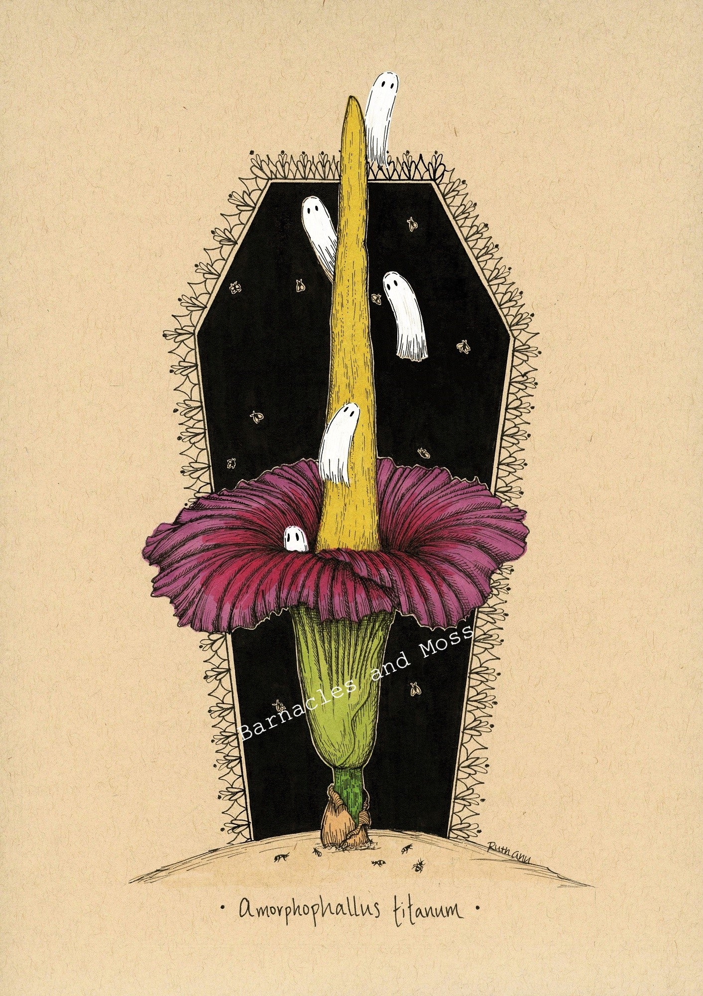 Corpse Flower Fine Art Print