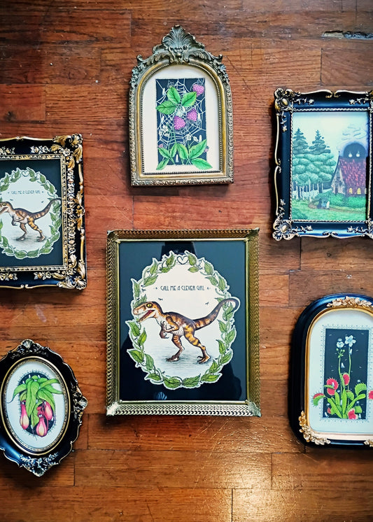 Fine Art Prints in Vintage Inspired Frames