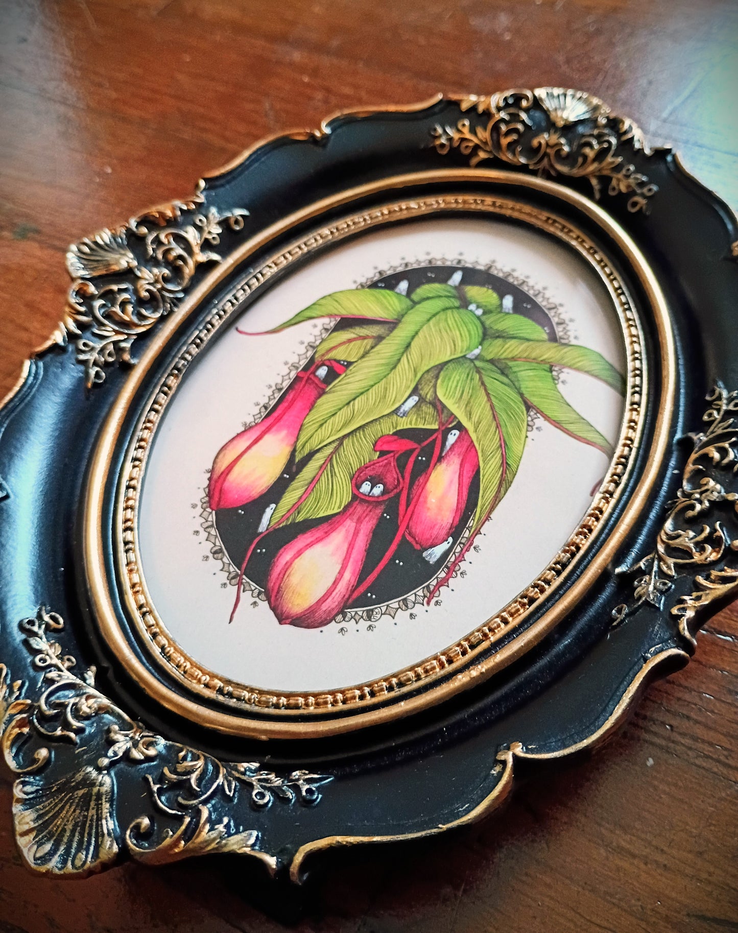 Fine Art Prints in Vintage Inspired Frames
