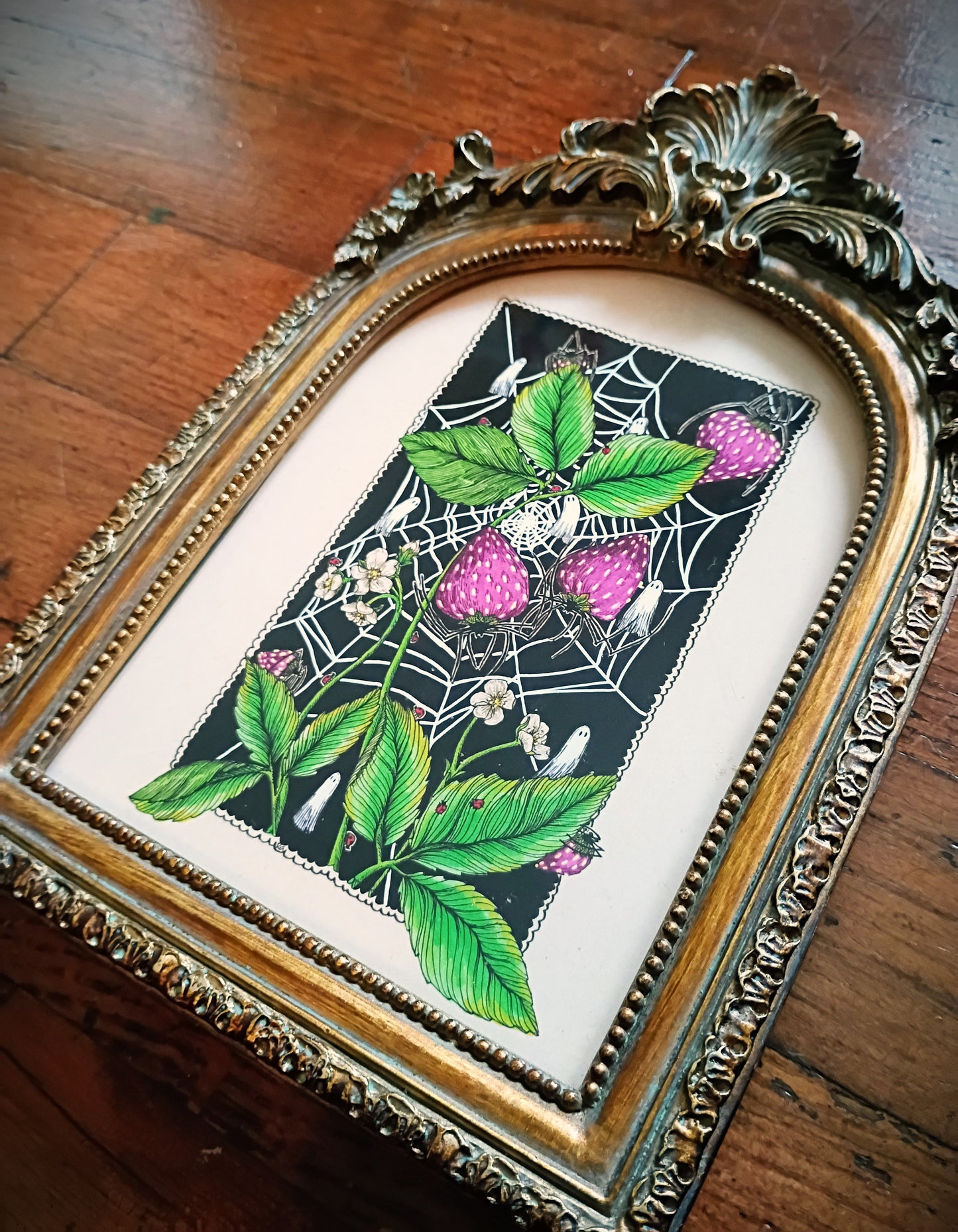 Fine Art Prints in Vintage Inspired Frames