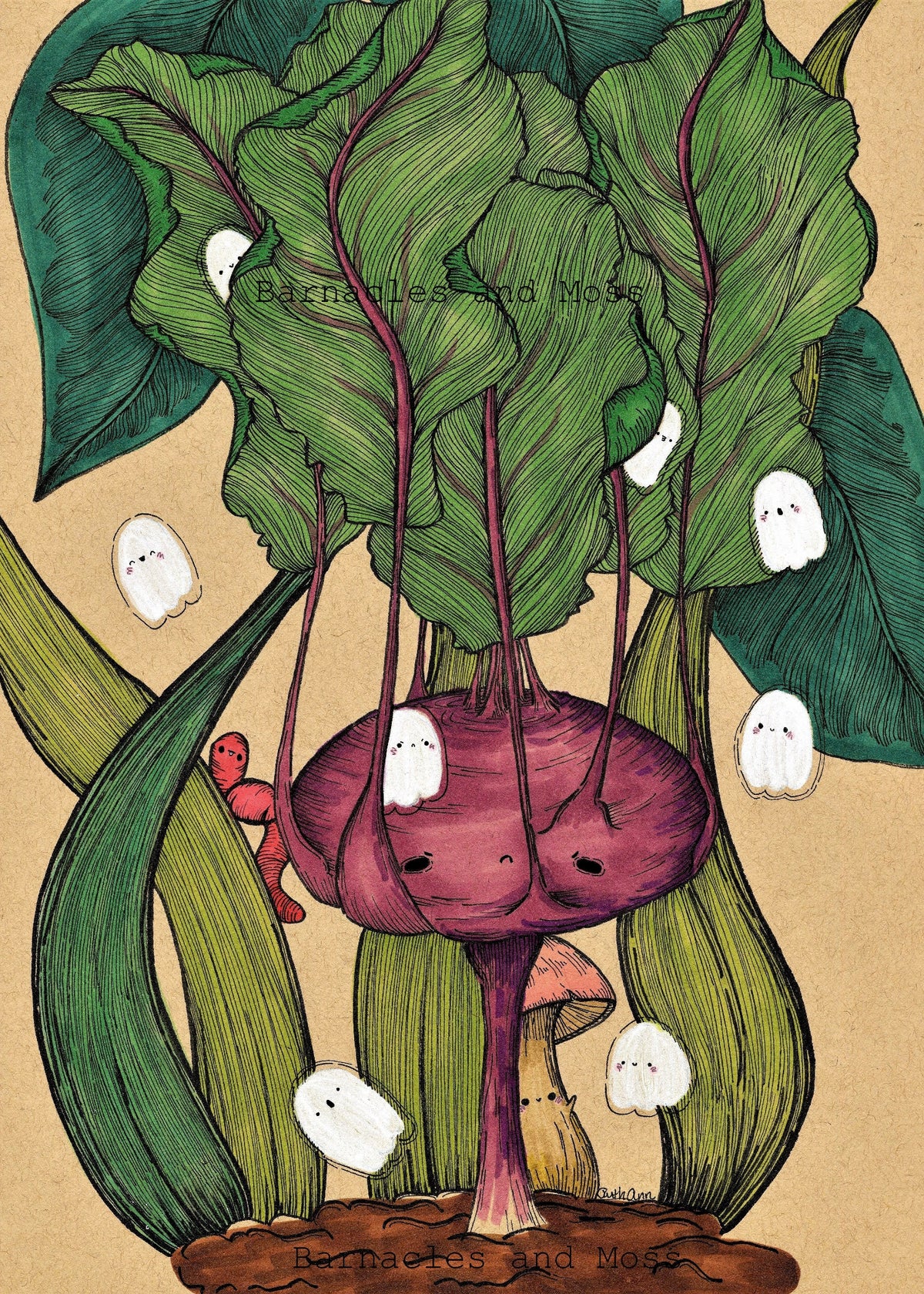 Kohlrabi Fine Art Print