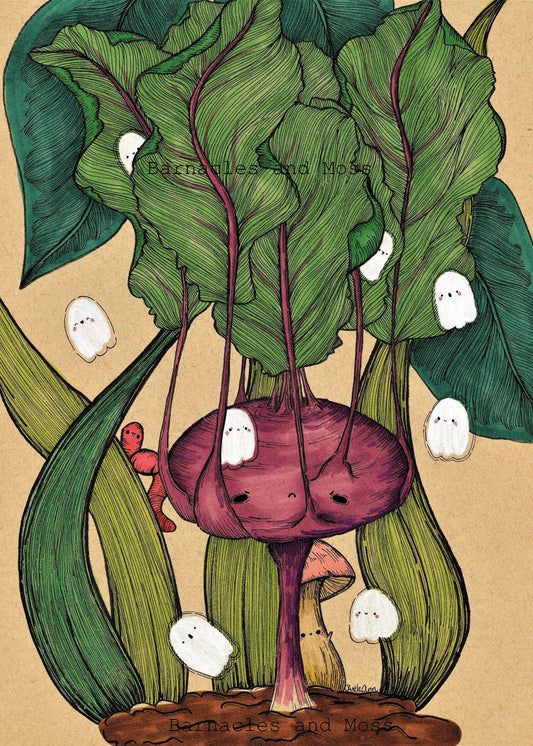 Kohlrabi Fine Art Print