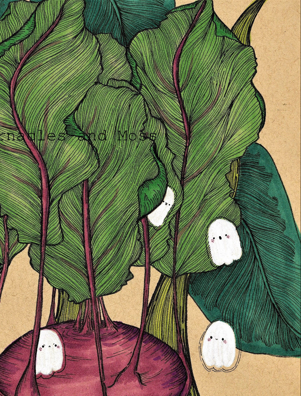 Kohlrabi Fine Art Print