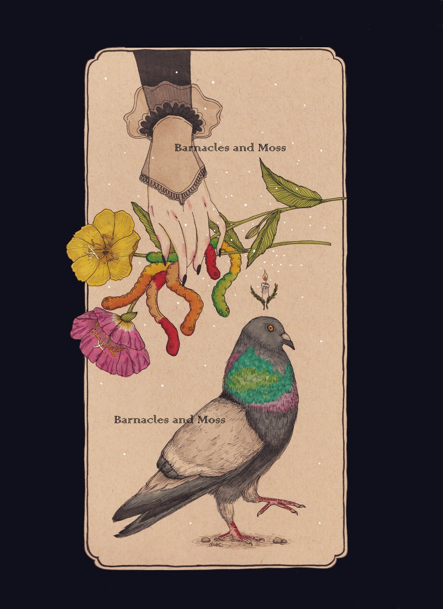 For the Pigeons Fine Art Print