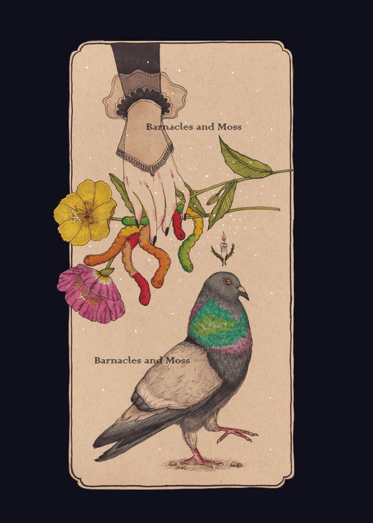 For the Pigeons Fine Art Print