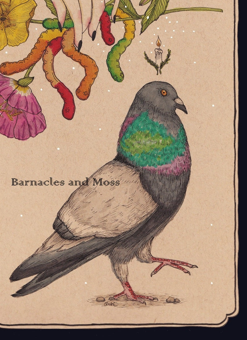 For the Pigeons Fine Art Print
