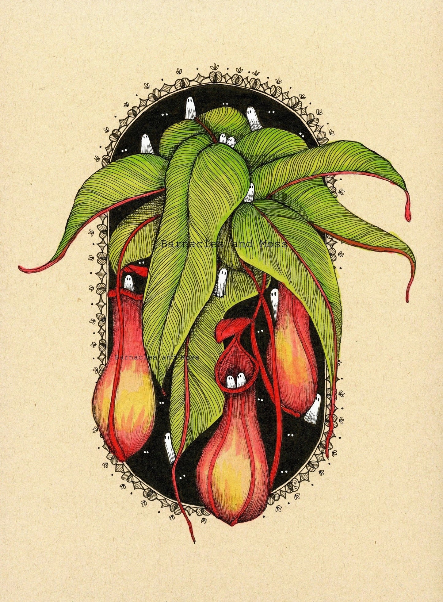 Pitcher Plant Fine Art Print