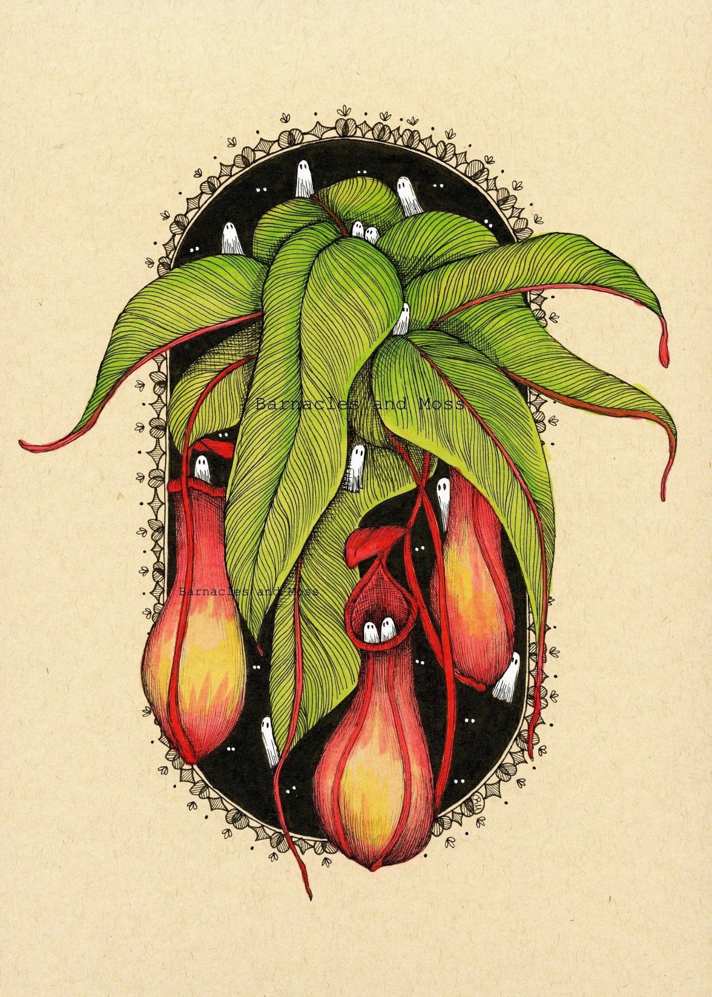 Pitcher Plant Fine Art Print
