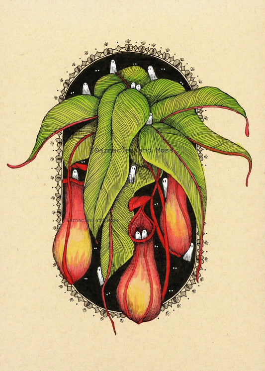 Pitcher Plant Fine Art Print