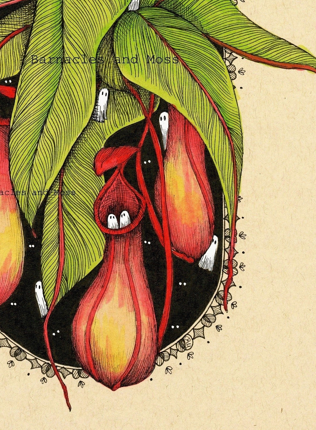 Pitcher Plant Fine Art Print
