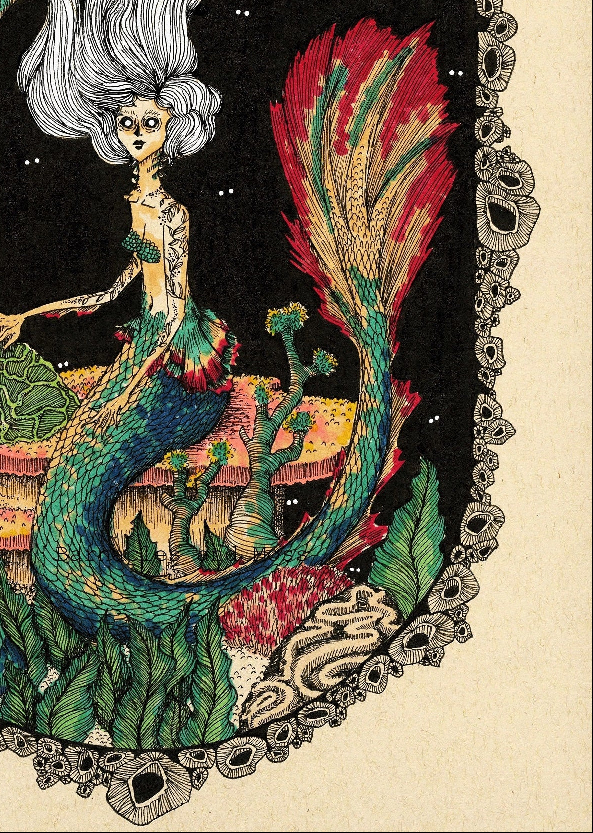 Siren Fine Art Print
