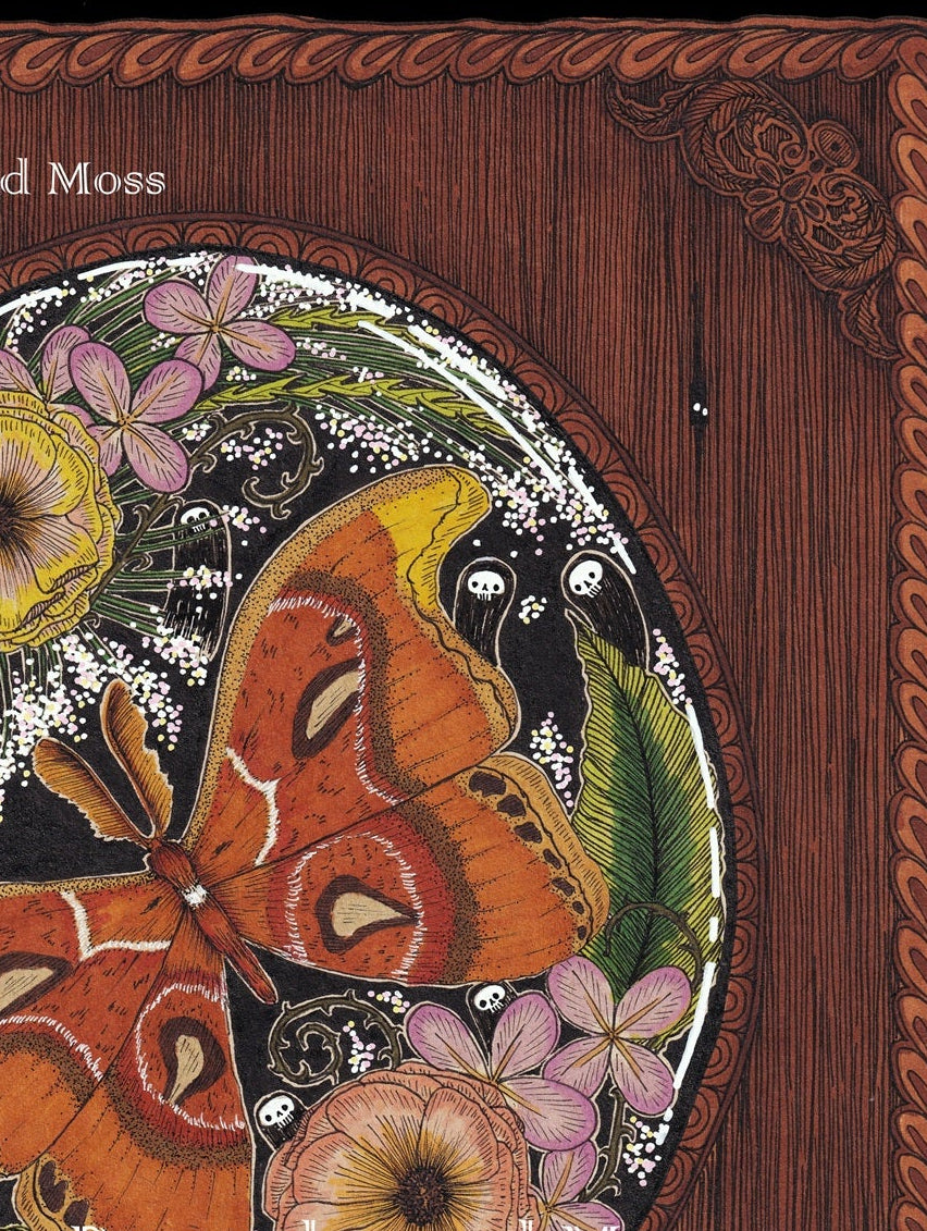 The Atlas Moth Fine Art Print
