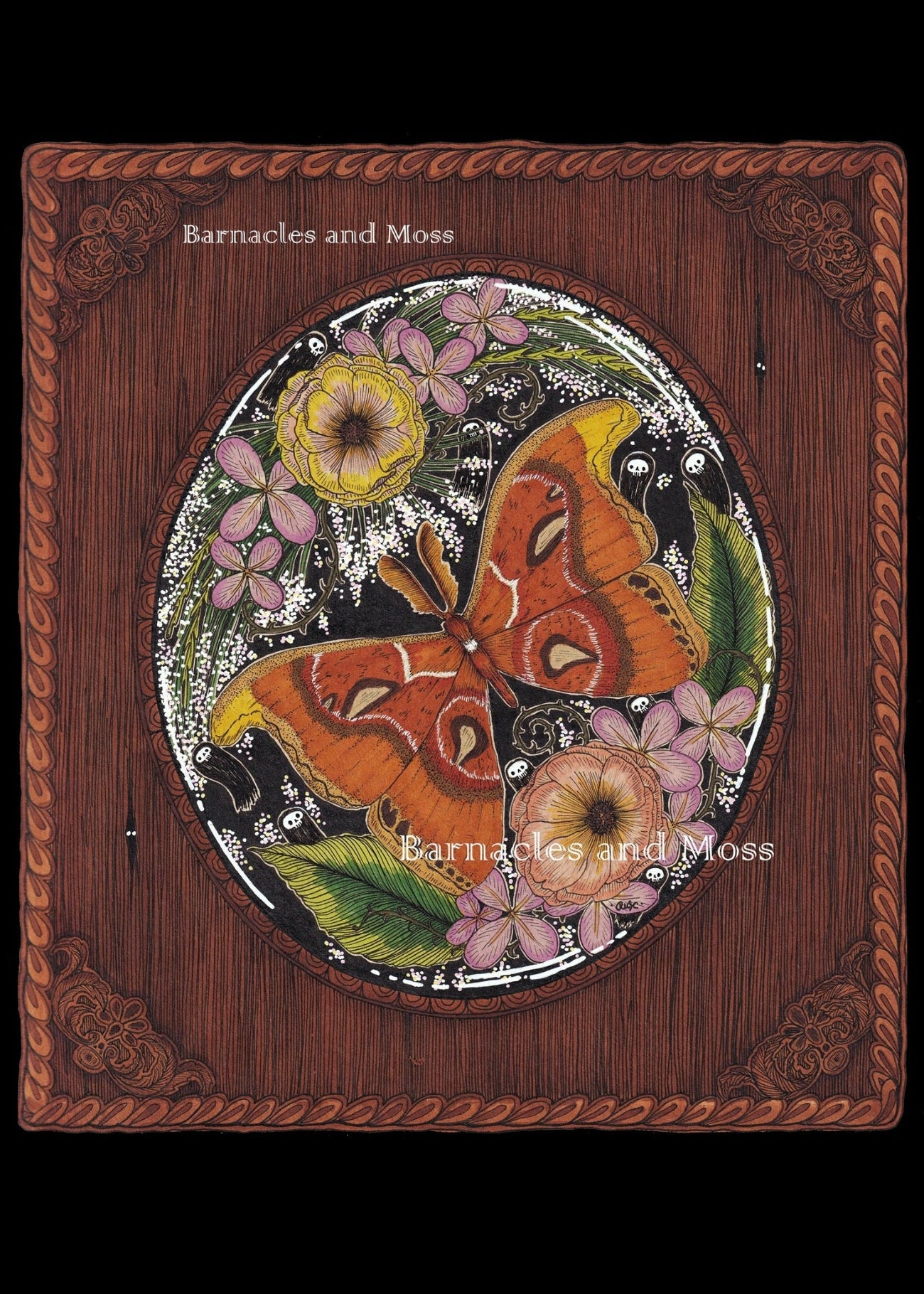 The Atlas Moth Fine Art Print