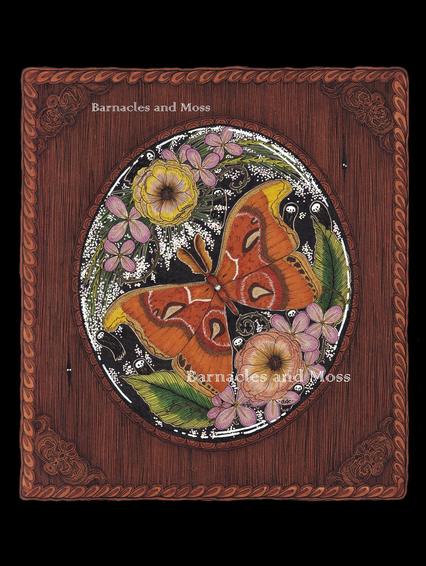 The Atlas Moth Fine Art Print