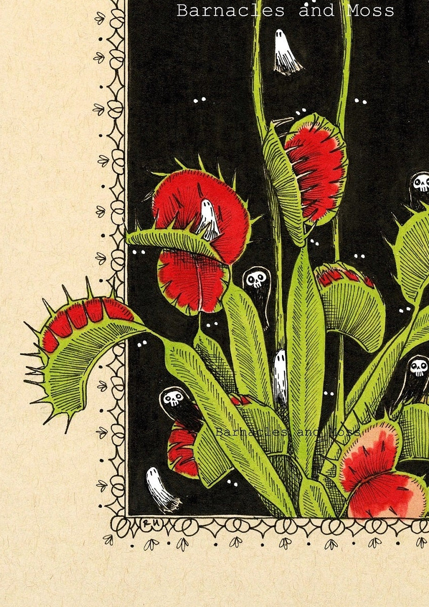 Venus Flytrap Fine Art Print
