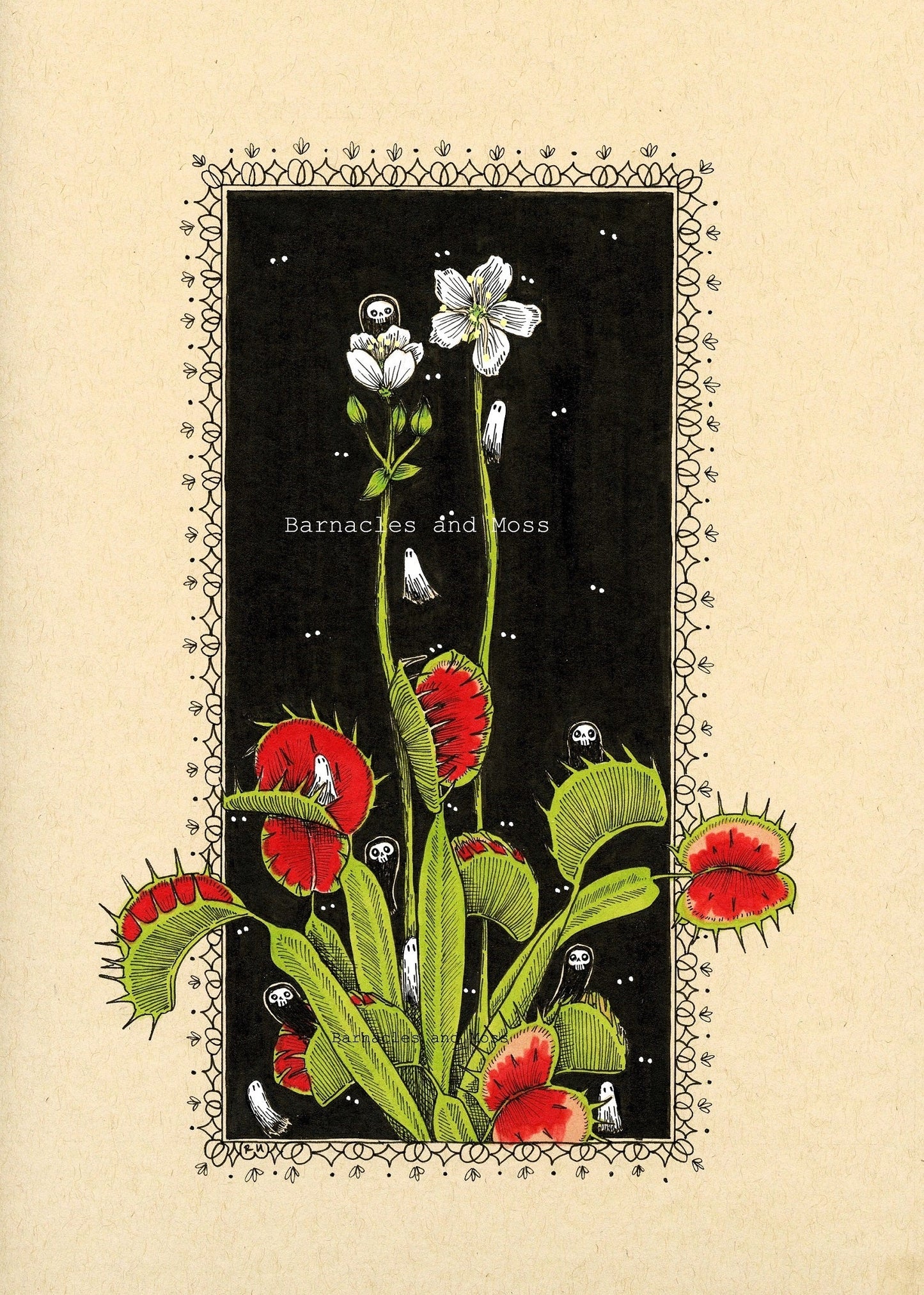 Venus Flytrap Fine Art Print