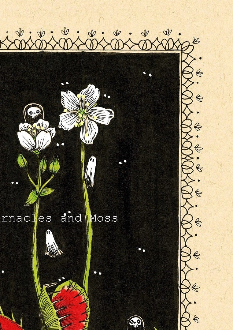 Venus Flytrap Fine Art Print