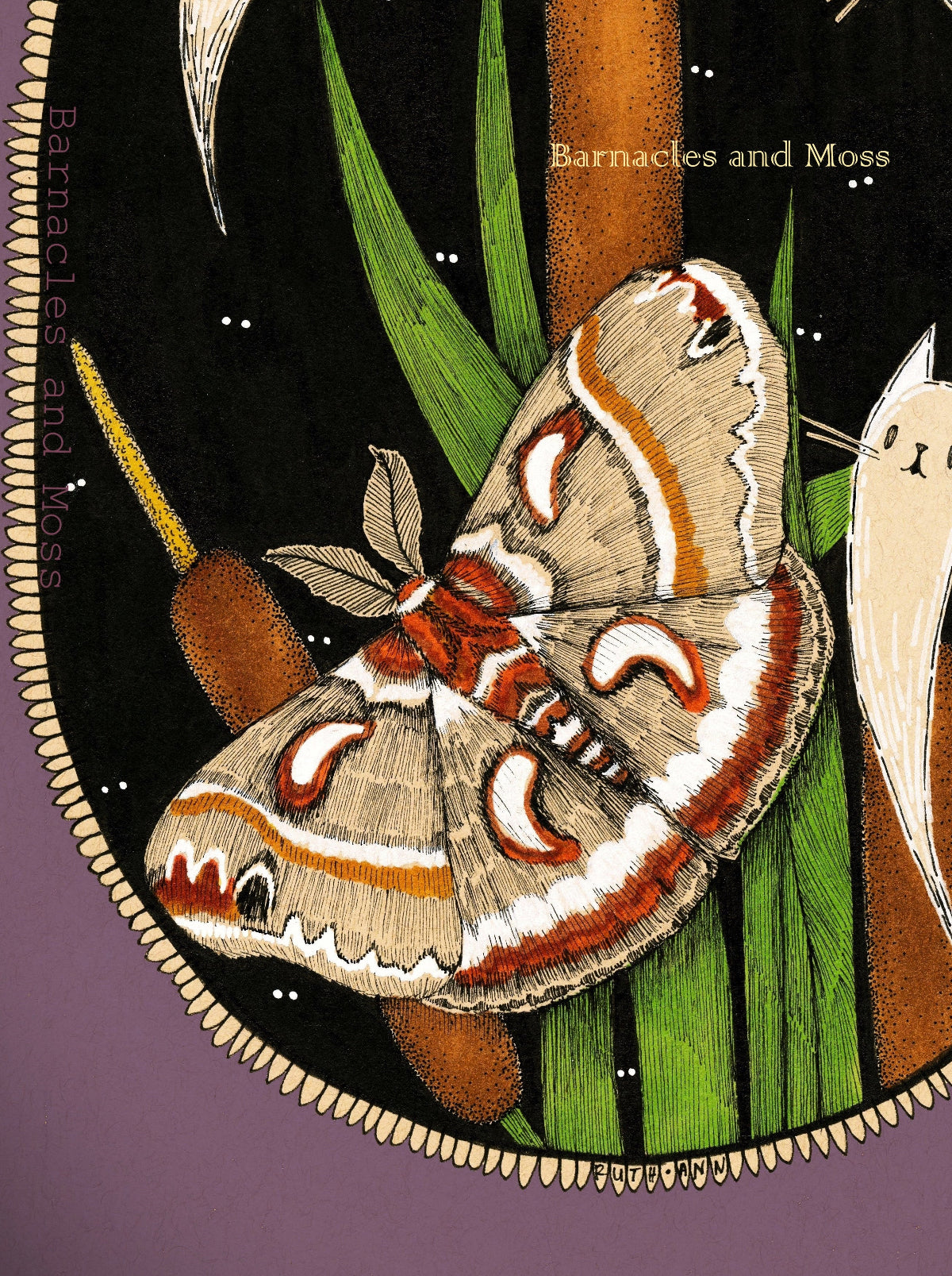 Cecropia Silk Moth Fine Art Print